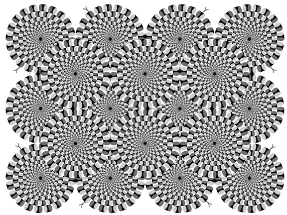 Akiyoshi Kitaoka "Rotating Snakes" illusion presents an example of radial drift illusion caused by line ambiguity in peripheral visual field. Even though this image has been downsized and reproduced in black and white, if you stare at the center of this image the illusion of rotational drift in the periphery is obvious. This illusion is most likely due to a bug in the cortical lateral line-resolution process which causes ambiguous data in the visual periphery to remain unresolved, thus lines cannot hold and instead creep and drift, creating the illusion of gradual radial movement. This creeping of line and shade in the periphery is similar to animated hallucinations seen on a light psychedelic trip.[
